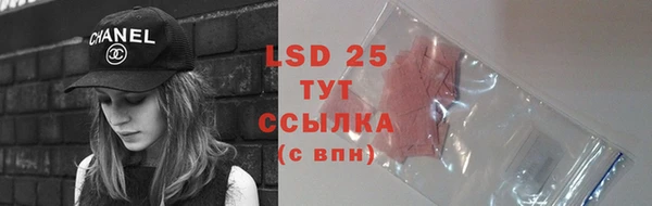 PSILOCYBIN Медногорск