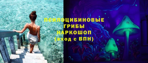PSILOCYBIN Медногорск