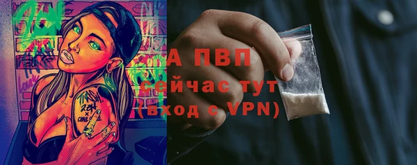 спиды Мегион