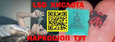 стаф Гай