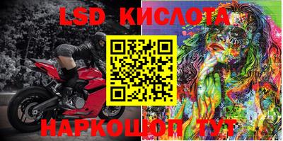 стаф Гай