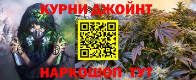 стаф Гай