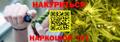 стаф Гай