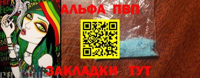 стаф Гай