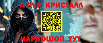 стаф Гай