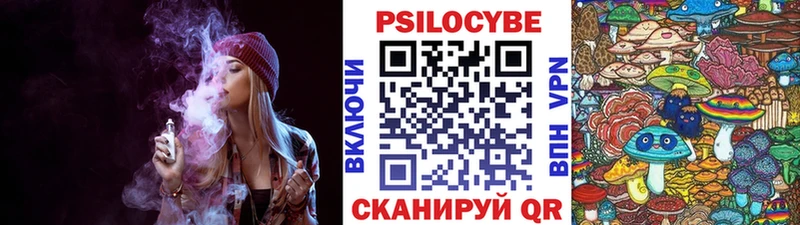 Псилоцибиновые грибы Psilocybine cubensis  где можно купить   Аксай 