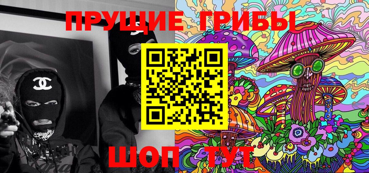 Псилоцибиновые грибы Psilocybe  Псилоцибиновые грибы Psilocybine cubensis  Аксай 